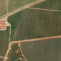 Satellite imagery of survey_point, DZ