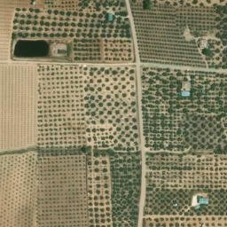 Satellite imagery of survey_point, DZ