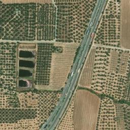 Satellite imagery of survey_point, DZ
