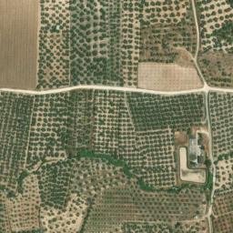 Satellite imagery of survey_point, DZ