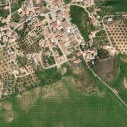 Satellite imagery of survey_point, DZ