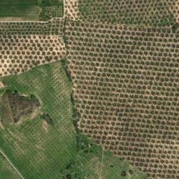 Satellite imagery of survey_point, DZ