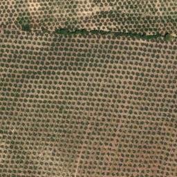 Satellite imagery of survey_point, DZ