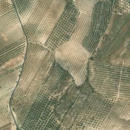 Satellite imagery of survey_point, DZ