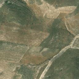 Satellite imagery of survey_point, DZ