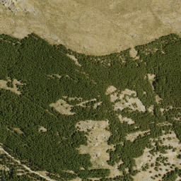 Satellite imagery of survey_point, DZ