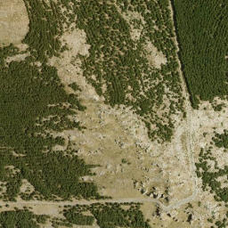 Satellite imagery of survey_point, DZ