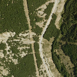 Satellite imagery of survey_point, DZ