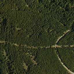 Satellite imagery of survey_point, DZ