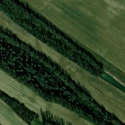Satellite imagery of Gray Ridge, US