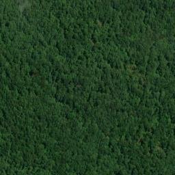 Satellite imagery of Pond Ridge, US