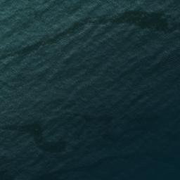 Satellite imagery of survey_point, DZ