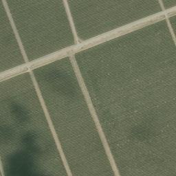 Satellite imagery of survey_point, DZ
