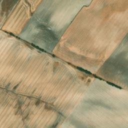 Satellite imagery of survey_point, DZ