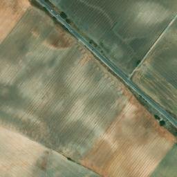 Satellite imagery of survey_point, DZ