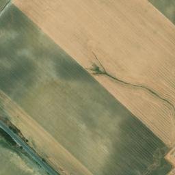 Satellite imagery of survey_point, DZ