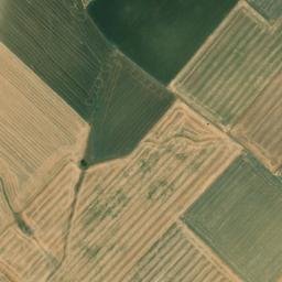 Satellite imagery of survey_point, DZ