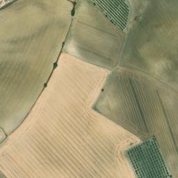 Satellite imagery of survey_point, DZ