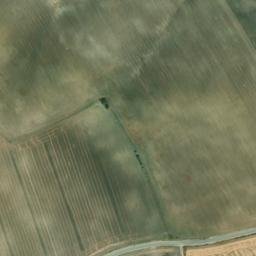 Satellite imagery of survey_point, DZ