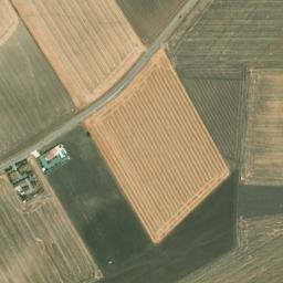 Satellite imagery of survey_point, DZ