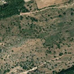 Satellite imagery of survey_point, DZ