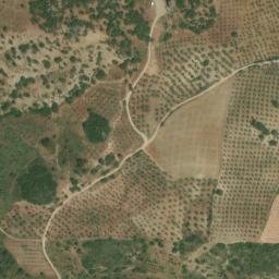 Satellite imagery of survey_point, DZ