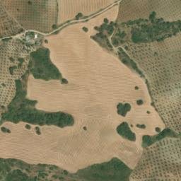 Satellite imagery of survey_point, DZ