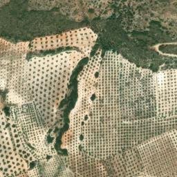 Satellite imagery of survey_point, DZ