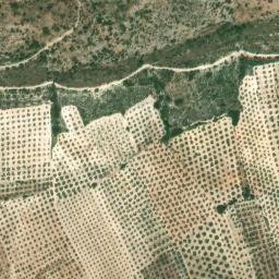 Satellite imagery of survey_point, DZ