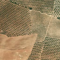 Satellite imagery of survey_point, DZ
