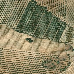 Satellite imagery of survey_point, DZ
