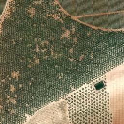 Satellite imagery of survey_point, DZ