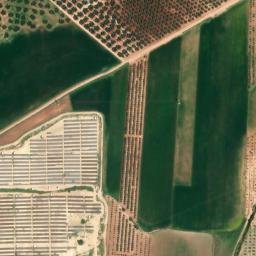 Satellite imagery of survey_point, DZ
