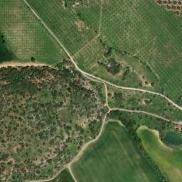 Satellite imagery of survey_point, DZ