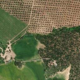 Satellite imagery of survey_point, DZ
