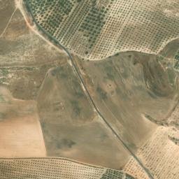 Satellite imagery of survey_point, DZ