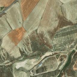 Satellite imagery of survey_point, DZ