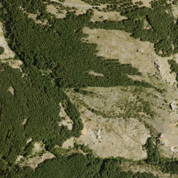 Satellite imagery of survey_point, DZ