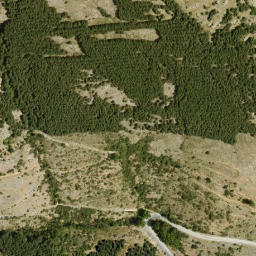 Satellite imagery of survey_point, DZ