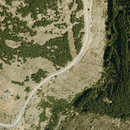 Satellite imagery of survey_point, DZ