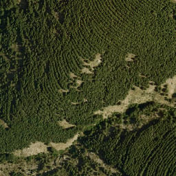 Satellite imagery of survey_point, DZ