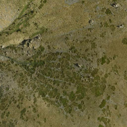 Satellite imagery of survey_point, DZ