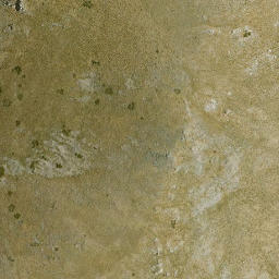Satellite imagery of survey_point, DZ