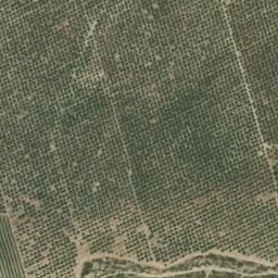 Satellite imagery of survey_point, DZ