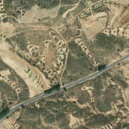 Satellite imagery of survey_point, DZ