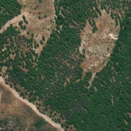 Satellite imagery of survey_point, DZ