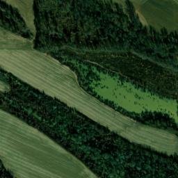 Satellite imagery of Gray Ridge, US