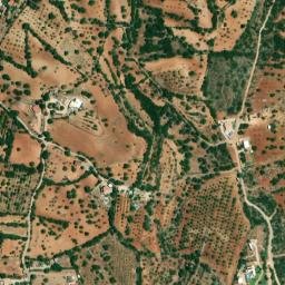 Satellite imagery of Lobo, DZ