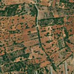 Satellite imagery of Lobo, DZ