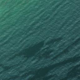 Satellite imagery of survey_point, DZ